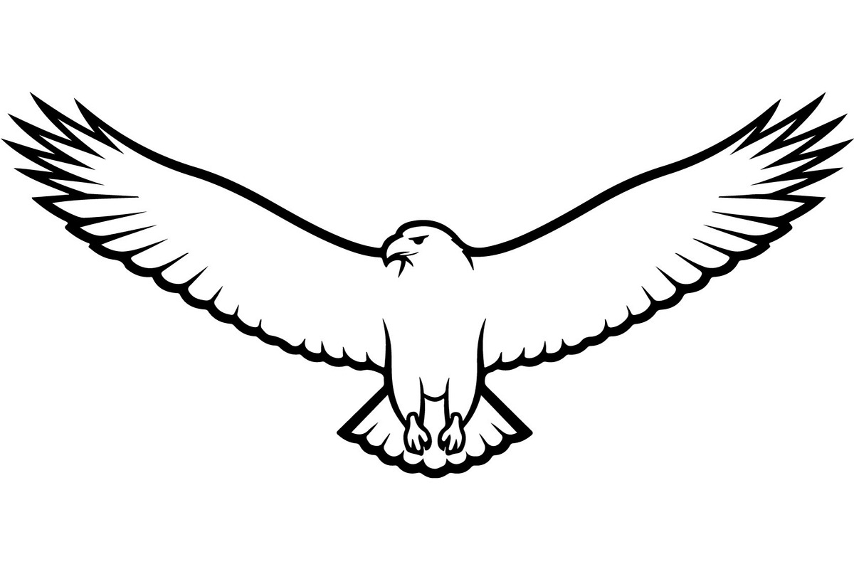 Forest Sky Birds Illustration Vector, an Animal Illustration by Designer_Momina (Photo 5 of 21)