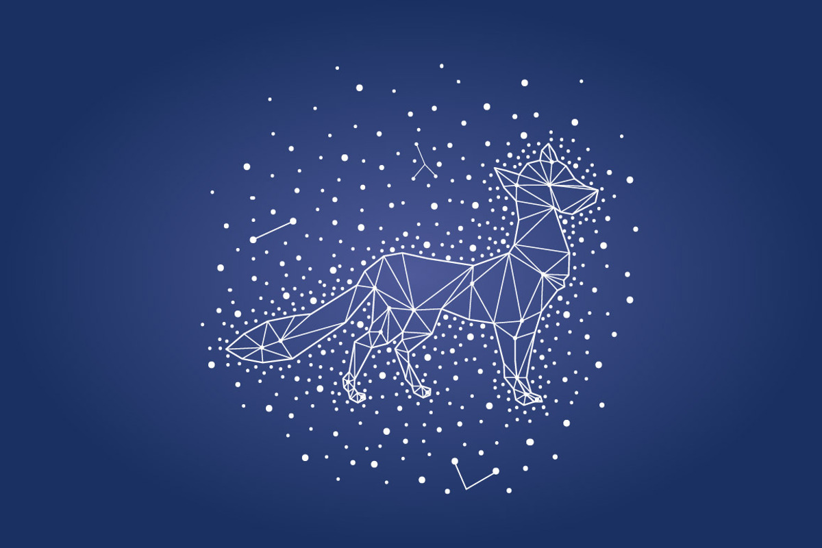 Geometric animals. Night sky., a Background Graphic by lycka (Photo 7 of 7)