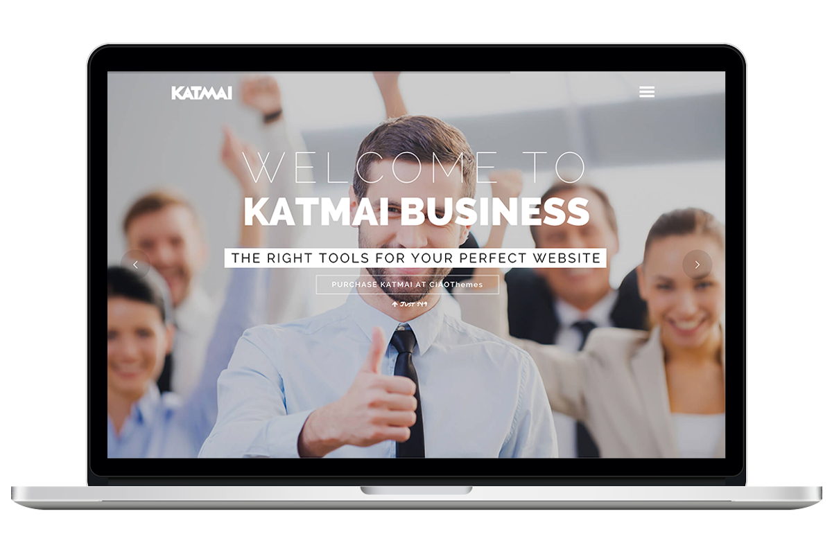 Professional Business WP Theme, a WordPress Template by CIAOThemes