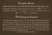 Placidus Notesho Retro Whimsical, a Handwritten Font by Sixtype (Thumbnail 8 of 10)