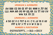 Sunday Picnic Bold Handwritten Font, a Handwritten Font by TD fonts (Thumbnail 7 of 8)