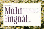 CS Hadwin Drawn, a Serif Font by Craft Supply Co. (Thumbnail 5 of 8)