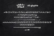 Anthika Silluet – Brush Script Font, a Handwritten Font by Variatype (Thumbnail 8 of 8)