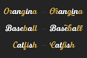 Triumph, a Script Font by Uniontype (Thumbnail 4 of 10)
