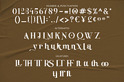 Baginks Birkin Serif, a Serif Font by Creatype Studio (Thumbnail 7 of 10)