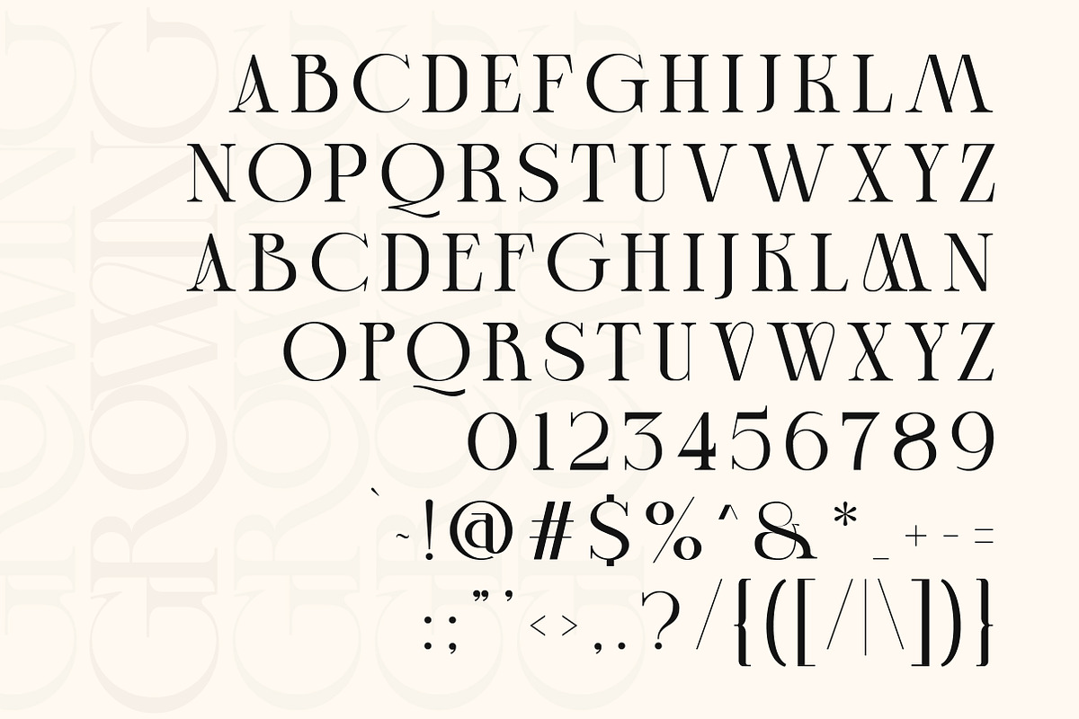 Cheqa a Luxury & Elegant Serif, a Serif Font by Lettertype Studio (Photo 6 of 15)