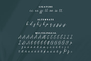 Offsite Script Fonts, a Script Font by mahstudios (Thumbnail 13 of 15)