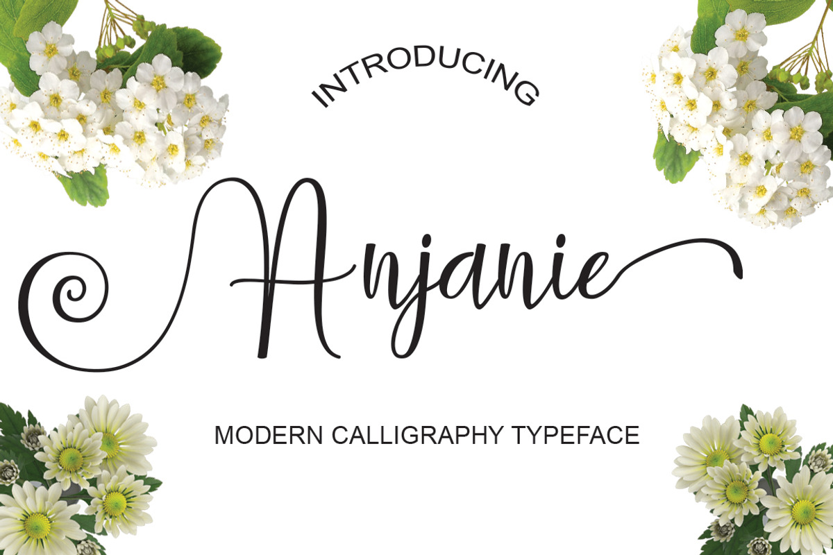 Anjanie, a Script Font by Naqsya.Co