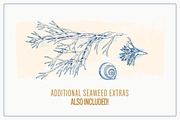 Vector Seashells Set + Bonus, a Food Illustration by Well Rock Designs (Thumbnail 4 of 8)