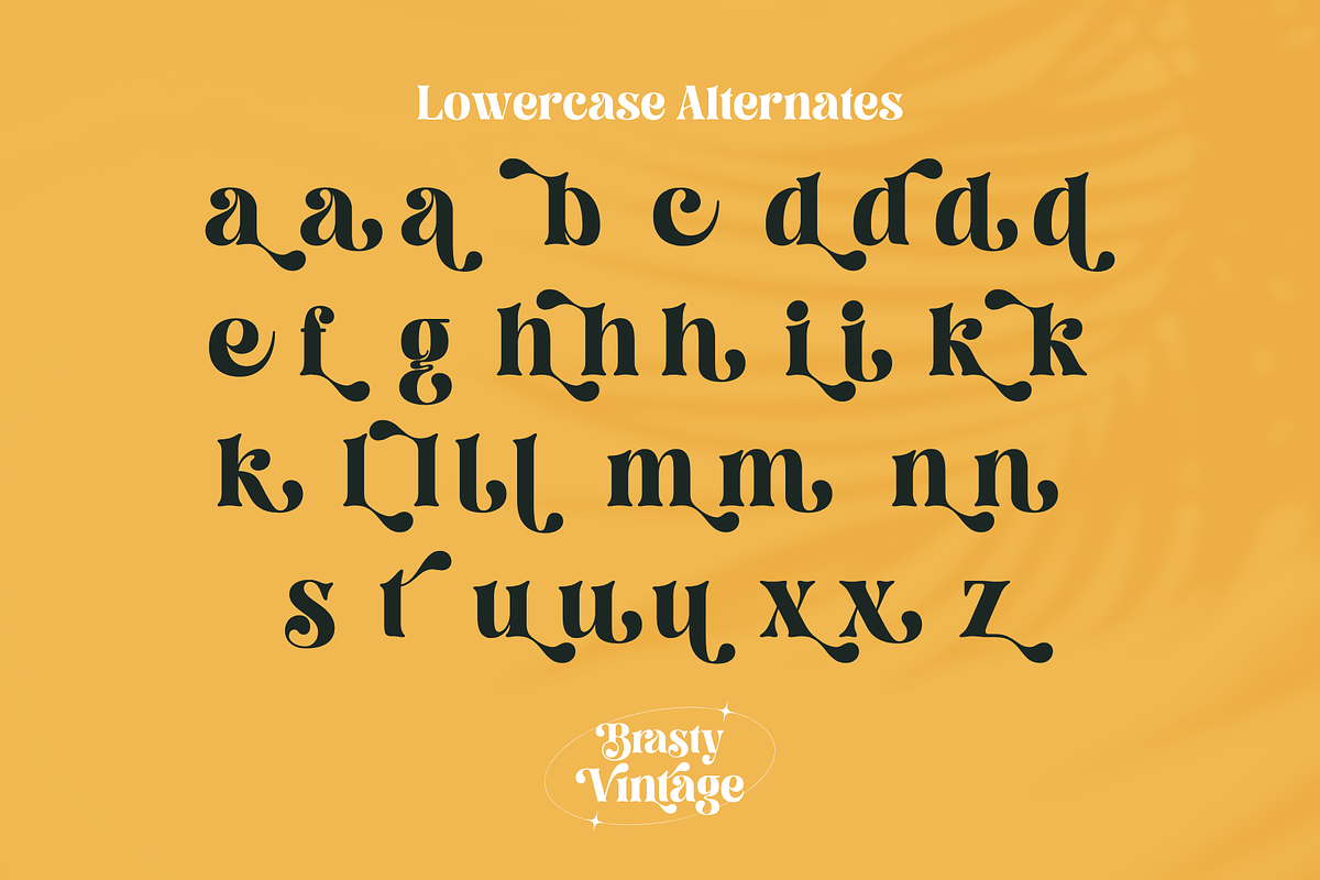 Brasty Vintage - Retro Serif Font, a Serif Font by Holyline Design (Photo 11 of 16)