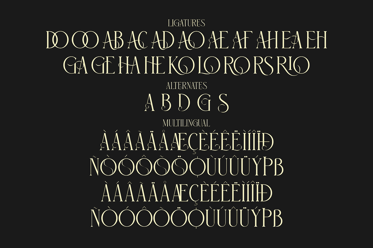 Glorious Serif Display Font, a Sans Serif Font by Storytype Studio (Photo 14 of 15)