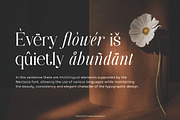 Nectavia - Display Serif Font, a Serif Font by Flawless And Co (Thumbnail 5 of 10)