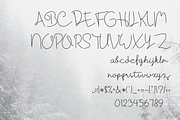 Cantika Signature Script Font, a Script Font by Artiveko (Thumbnail 10 of 10)