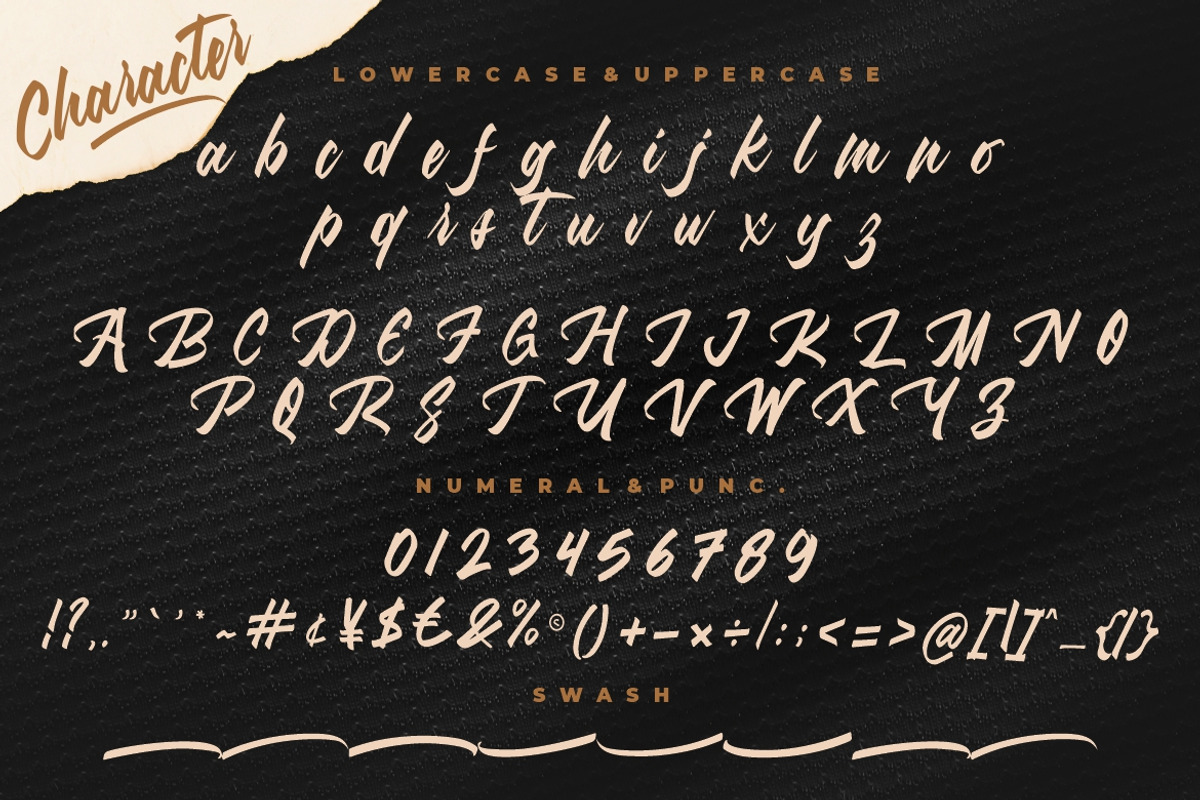 Hotlight Handlettering Business Font, a Script Font by MikroType Std (Photo 10 of 12)
