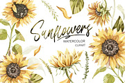 Sunflowers Watercolor Clipart., a Decorative Illustration by NKTKNS (Thumbnail 1 of 6)