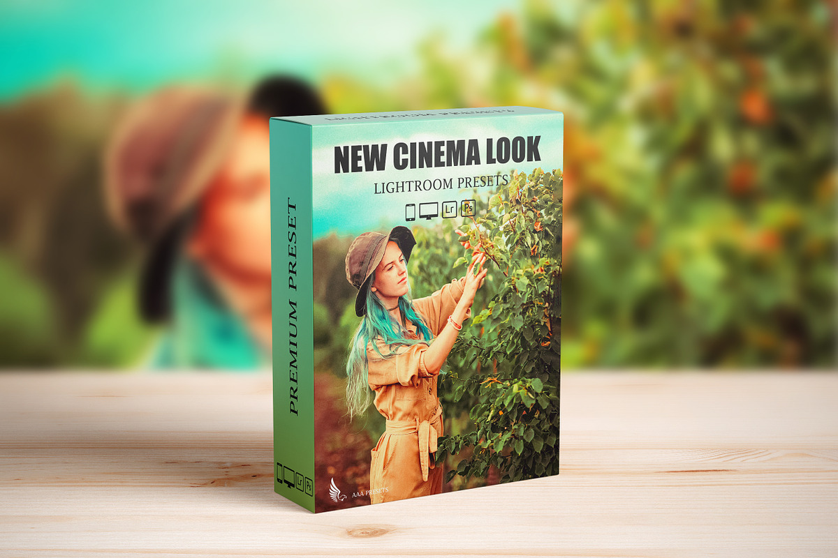 Steal Film Cinematic LR Presets, a Preset Add-On by AAA Presets (Photo 2 of 22)