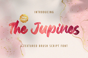 The Junipes - Textured Brush Font