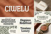 Ciwelu | A Sophisticated Serif, a Serif Font by Astuti Studio (Thumbnail 19 of 25)