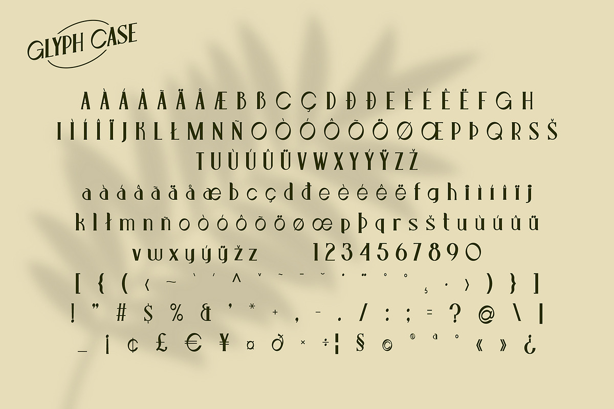 Leonis - Luxury Font, a Serif Font by Snape Design Studio (Photo 5 of 12)