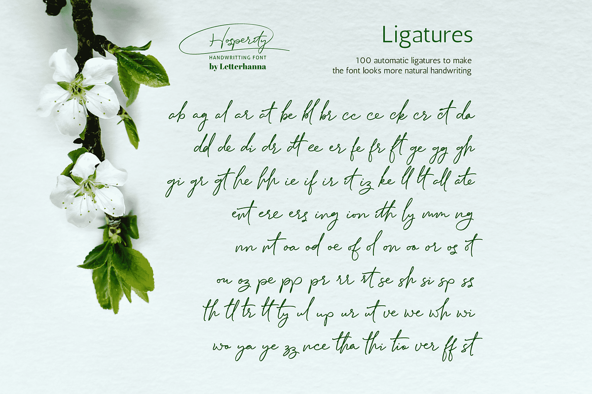 Hosperity Font, a Handwritten Font by Letterhanna Studio (Photo 4 of 13)