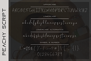 Peachy Font Duo, a Serif Font by GlitzyGrapix (Thumbnail 20 of 21)
