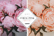 Coral pink lightroom preset, a Plug-in Add-On by studio25 (Thumbnail 4 of 7)