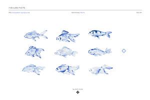 Nautical Fish Watercolour Patterns.