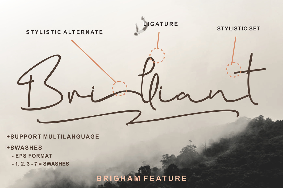 Brigham Signature Script, a Script Font by Glyphstyle (Photo 5 of 10)