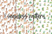 Lama in cactus collection, an Animal Illustration by IvanFet (Thumbnail 5 of 5)