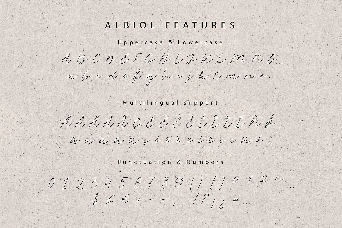 Albiol Handwritten Script preview 2