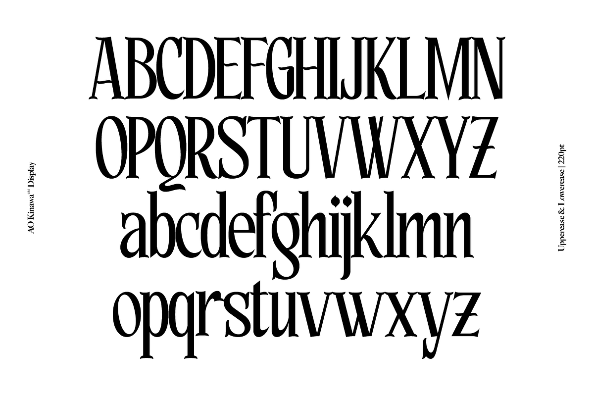 AO Kinawa - Elegant Display Serif, a Serif Font by OwunStudio (Photo 4 of 18)