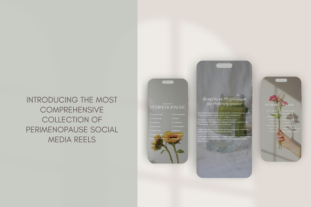 Menopause Instagram Reels Canva preview 2