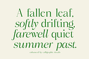 Marvelous, a Serif Font by InkwellTypeCo (Thumbnail 11 of 11)