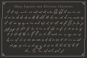 Kosakatta, a Script Font by endita (Thumbnail 3 of 4)