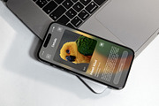 Happipe – Pet Services App Design, an App Template by twinstd (Thumbnail 5 of 5)