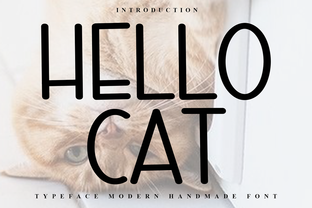Hello Cat, a Sans Serif Font by InermediaSTUDIO (Photo 1 of 7)