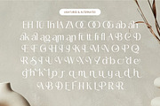Mozani Elegant Sans Serif Font, a Sans Serif Font by timelesstype.co (Thumbnail 19 of 20)