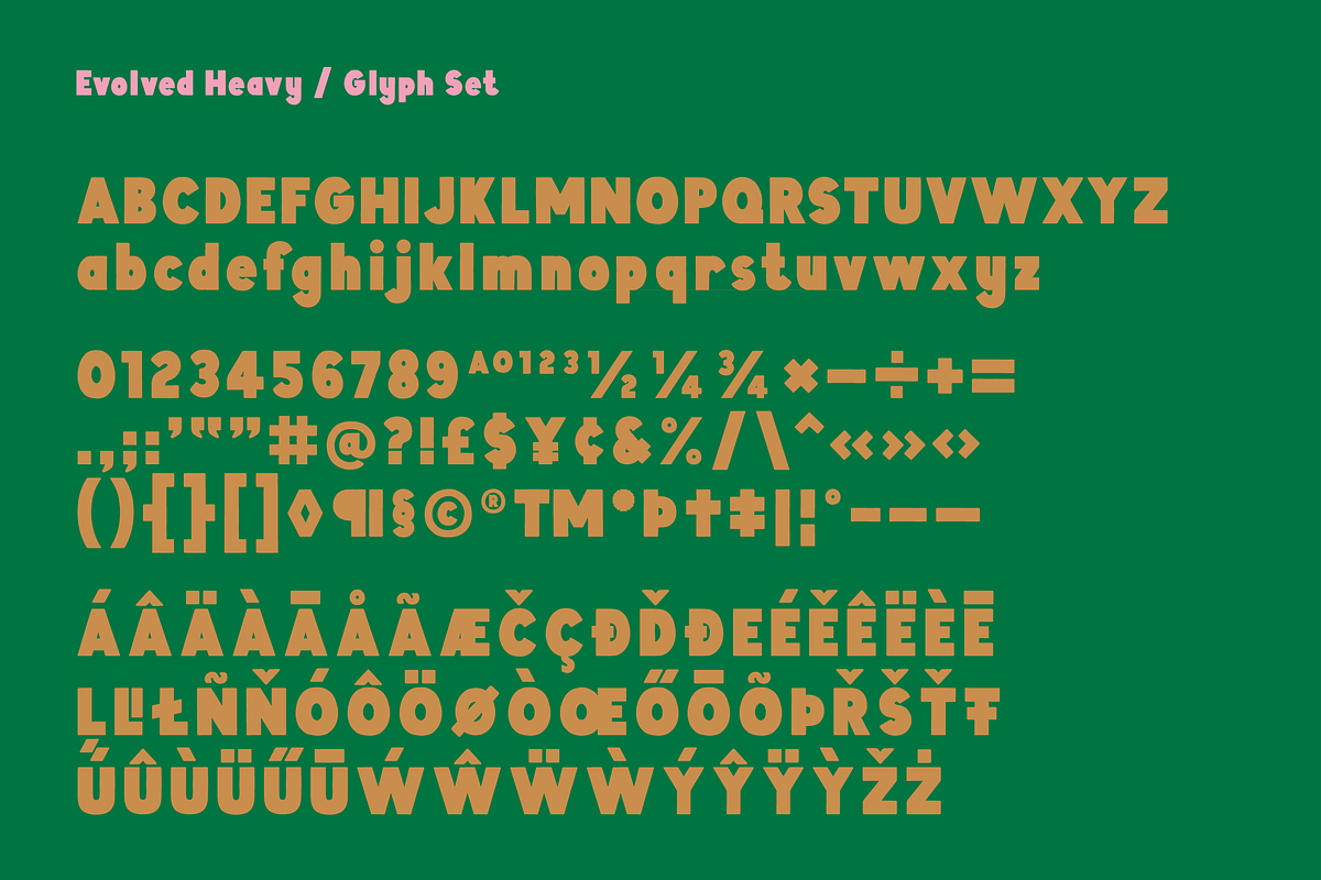 Evolved Font Family preview 8