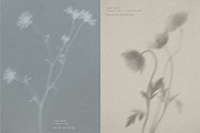 Diaphane - Blurry Floral Backgrounds, a Background Graphic by alonahaidash (Thumbnail 4 of 16)