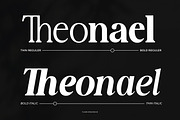 New Shuffle - Modern Serif Family Fo, a Serif Font by Flawless And Co (Thumbnail 3 of 10)