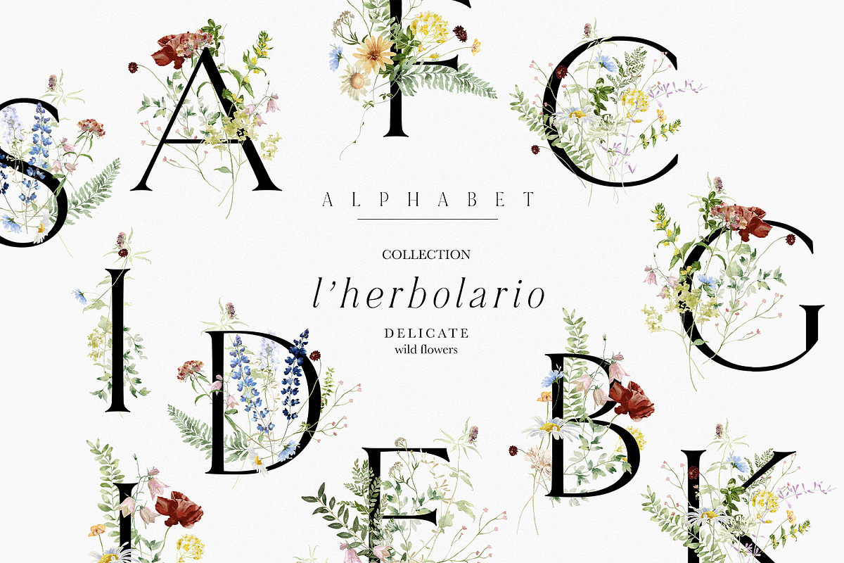 l'Herbolario - Wild Floral Graphics, an Illustration by studioequinox (Photo 11 of 14)