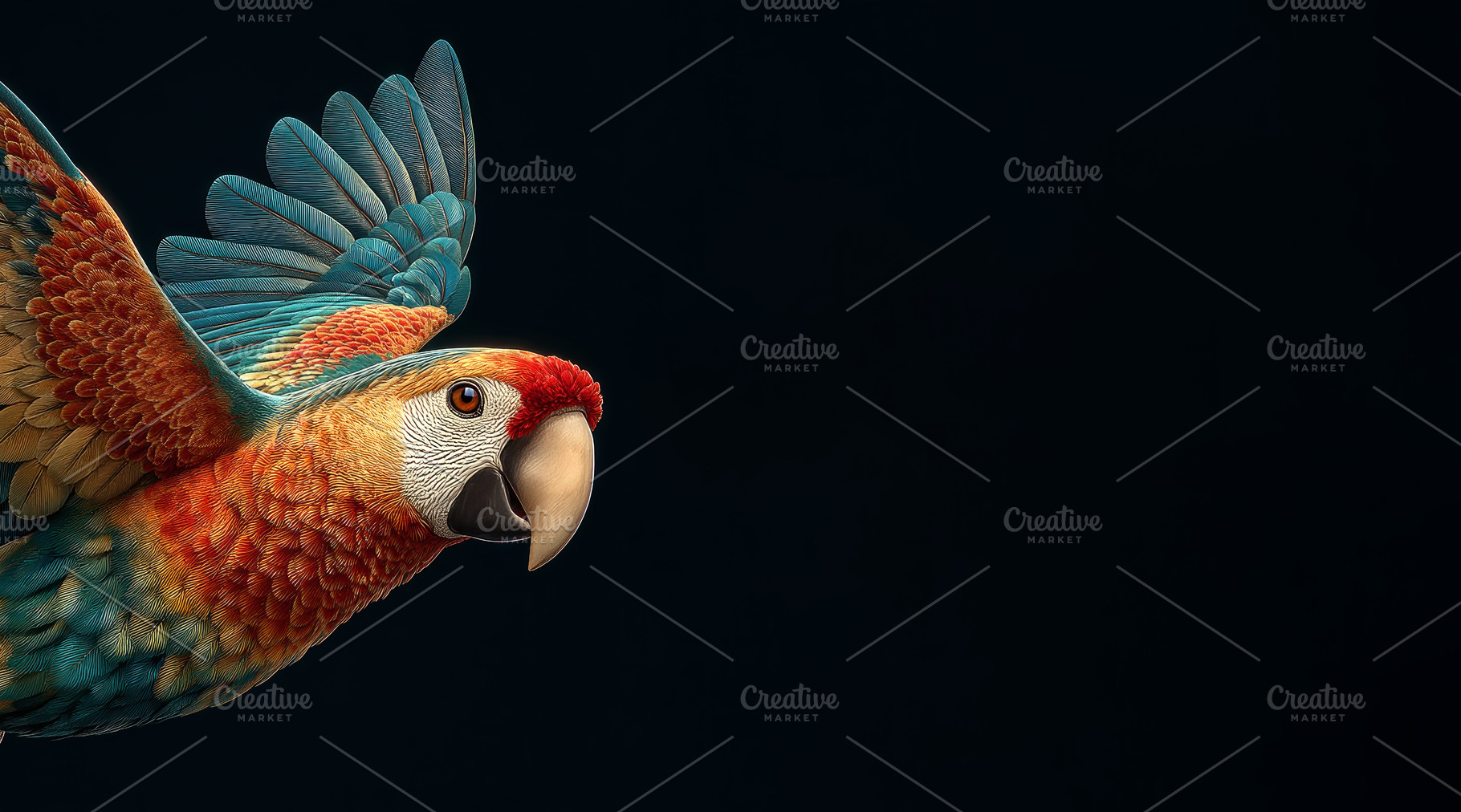 Scarlet Macaw in Flight with Wings Spread Against Dark Backgroun, an Animal Photo by José Manuel Gelpi