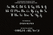 Inspirational, a Script Font by FreshTypeINK (Thumbnail 4 of 8)