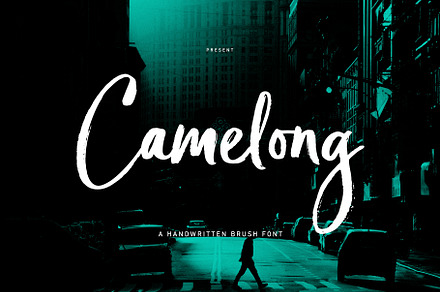 Camelong Brush, a Script Font by Realtype