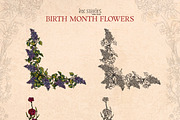 Birth Month Flowers Handcrafted, a Decorative Illustration by Ink Stories (Thumbnail 10 of 15)