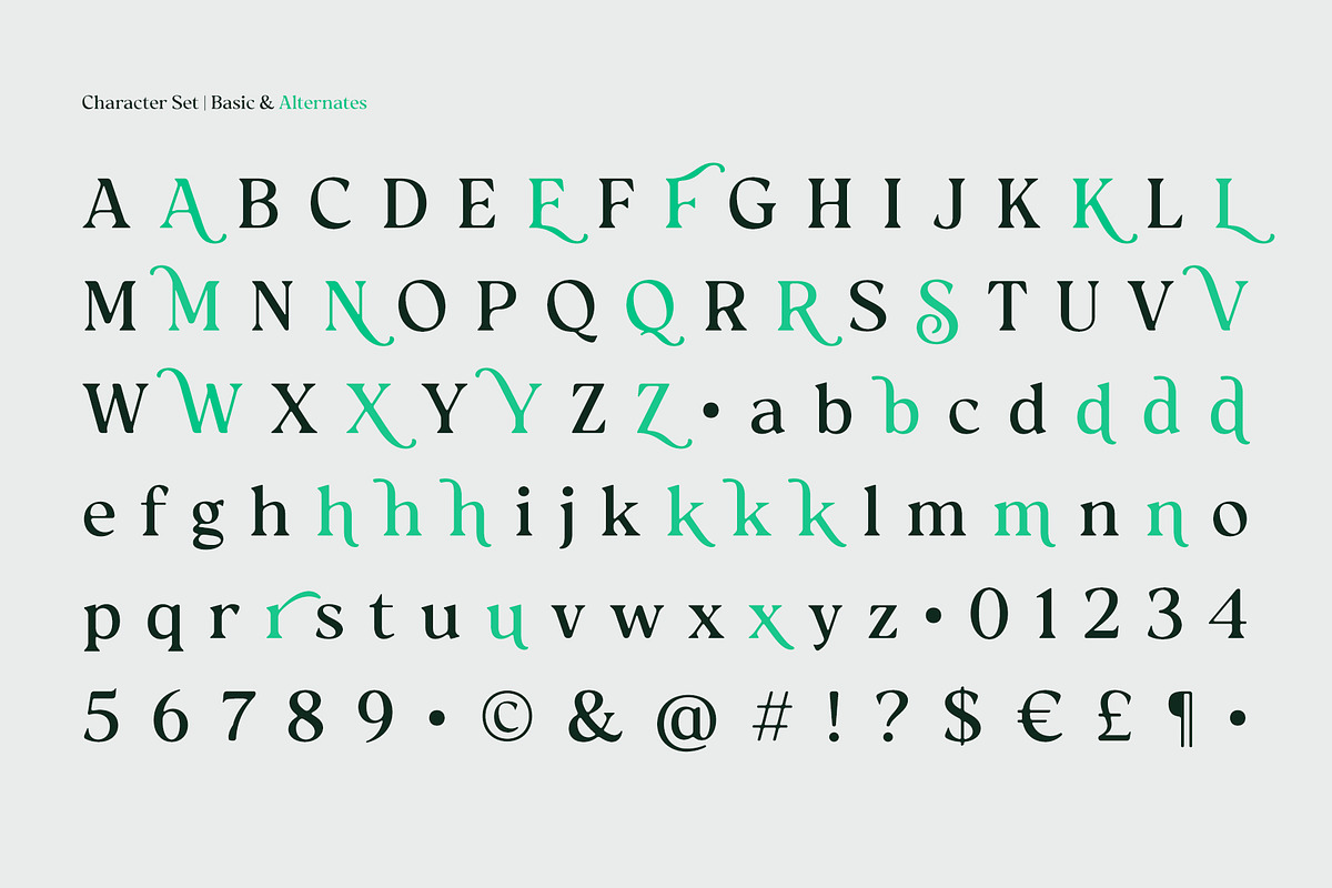Reloka, a Serif Font by Locomotype (Photo 12 of 12)