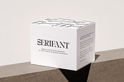 Serifant Family | Intro 50% OFF, a Serif Font by Lettertype Studio (Thumbnail 9 of 15)