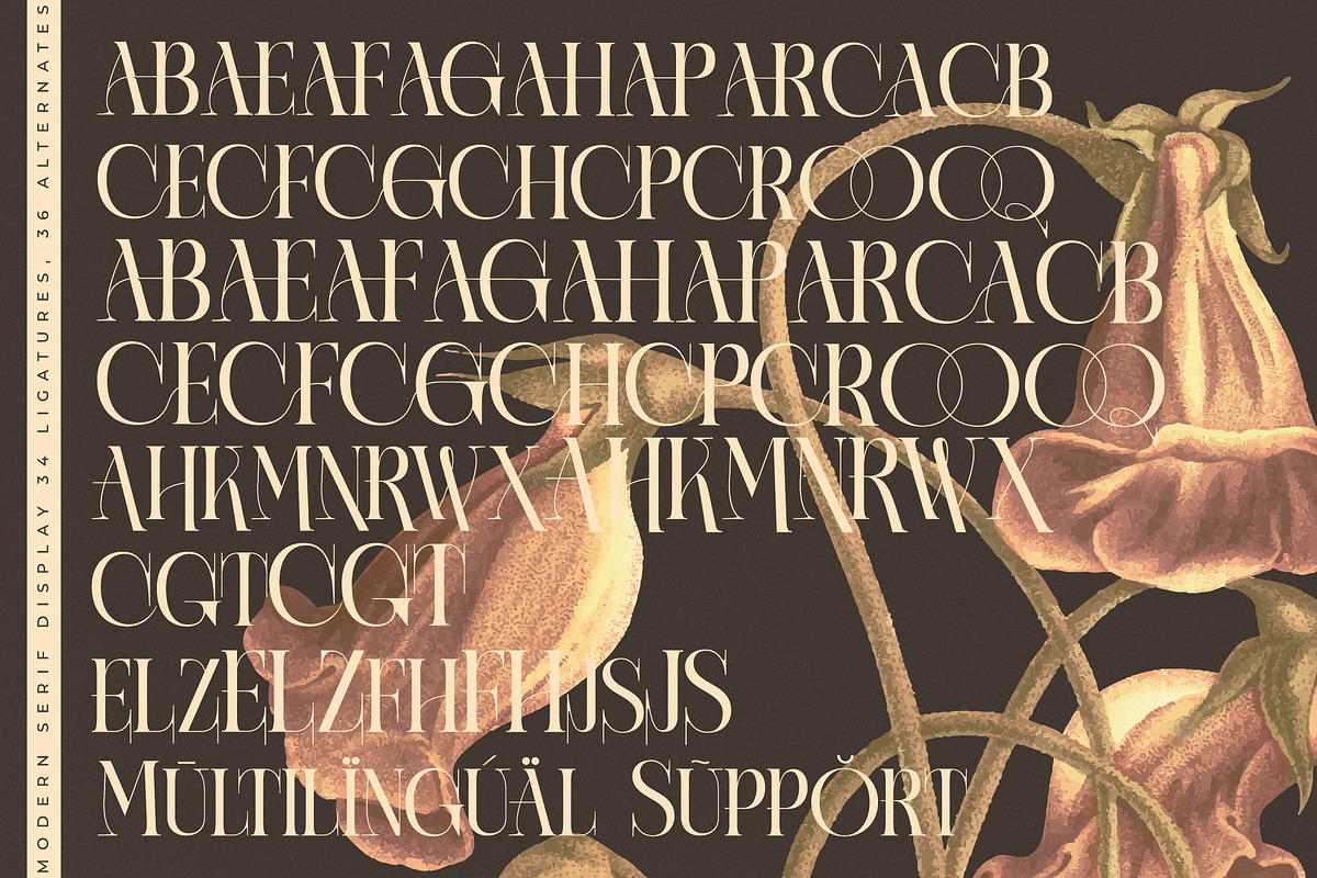 Caroowa Modern Serif Display, a Serif Font by timelesstype.co (Photo 19 of 20)