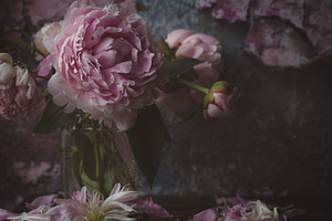 Peonies stock photo containing peonies and flower