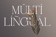 Belarose - Modern Elegant Serif, a Serif Font by Qweera Studio (Thumbnail 12 of 12)